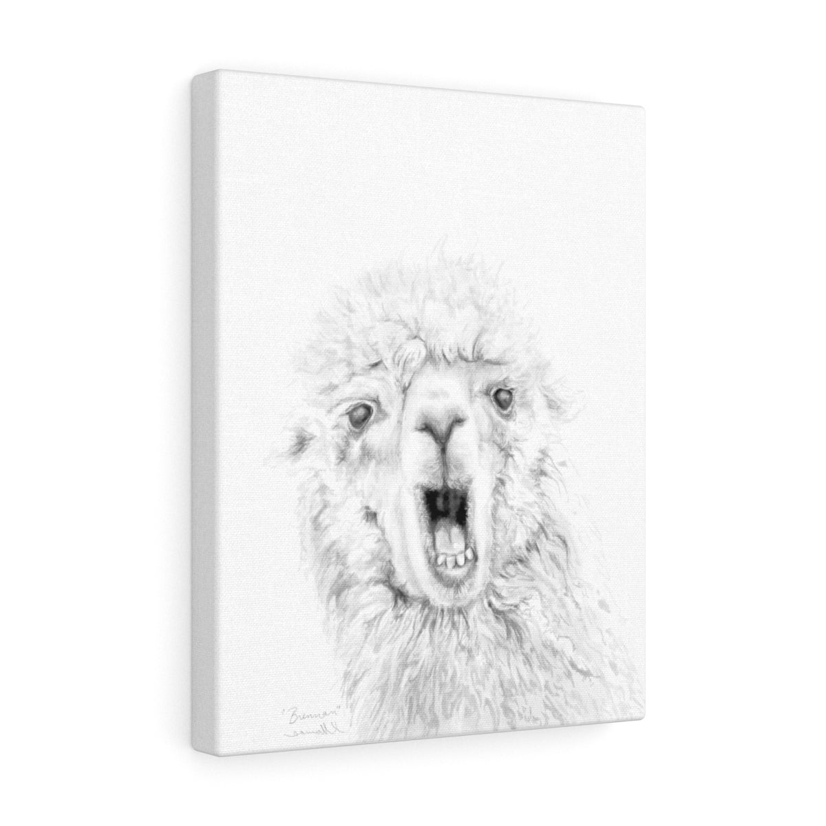 BRENNAN Llama - Art Canvas