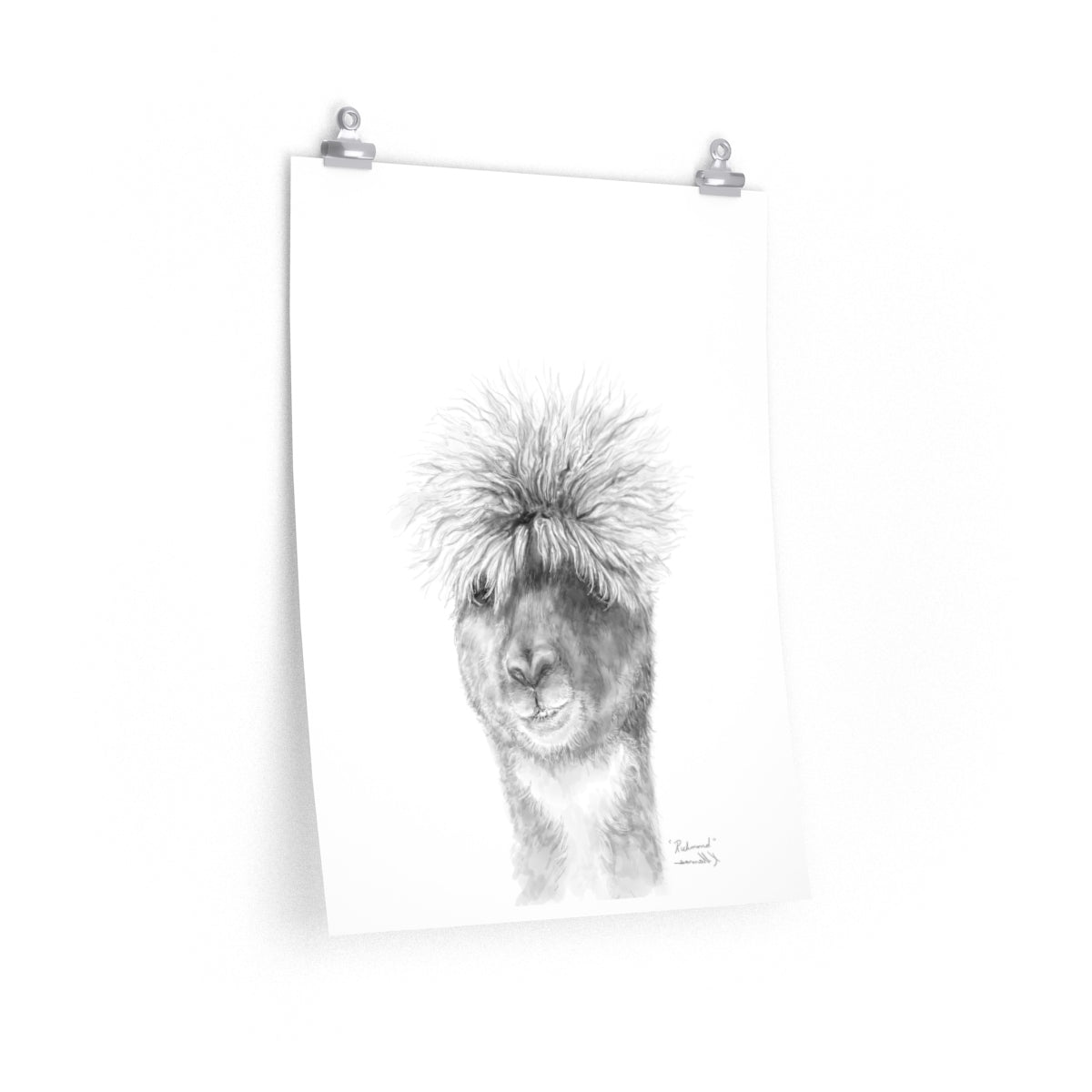 RICHMOND Llama- Art Paper Print
