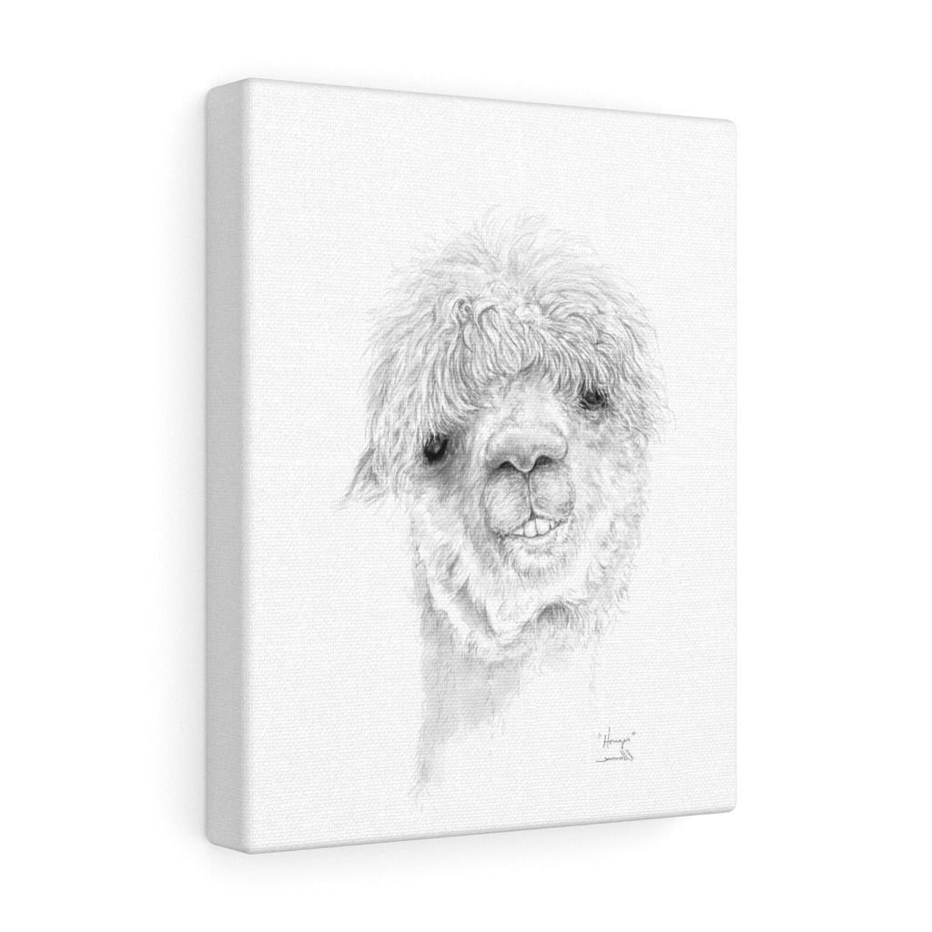 HOUZER Llama - Art Canvas