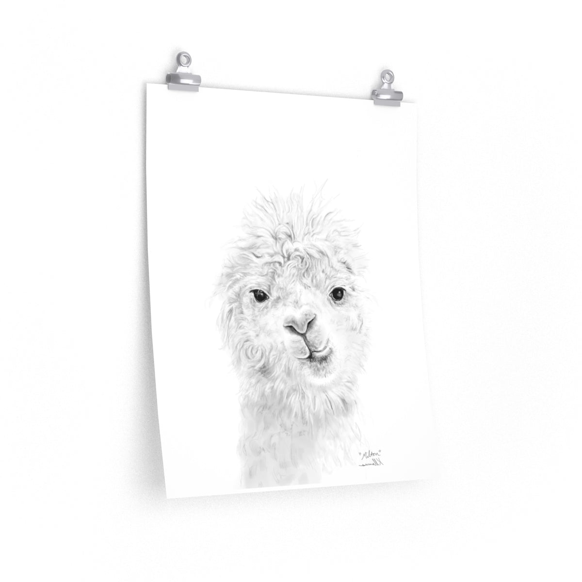 MILTON Llama- Art Paper Print