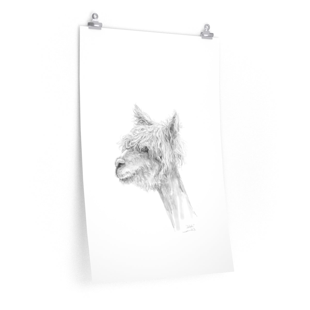 SELAH Llama- Art Paper Print