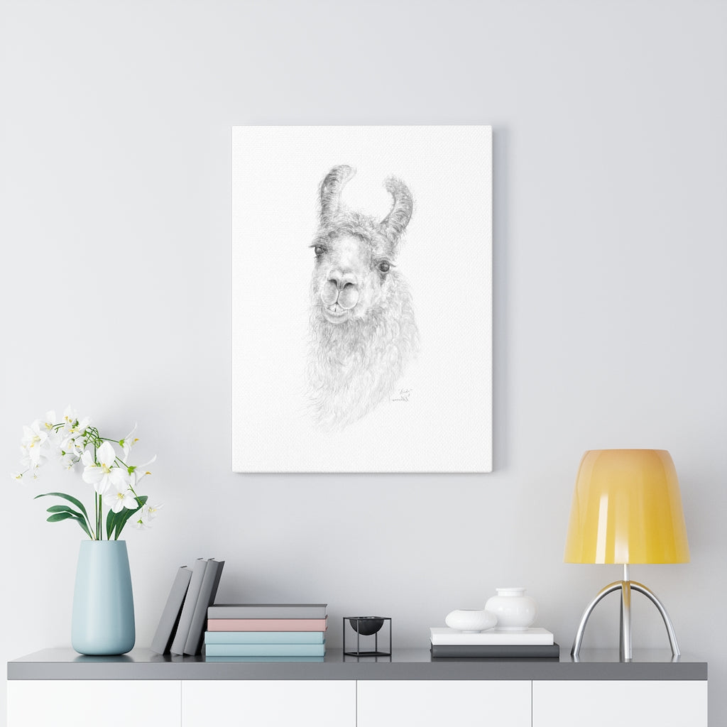 KIRBY Llama - Art Canvas