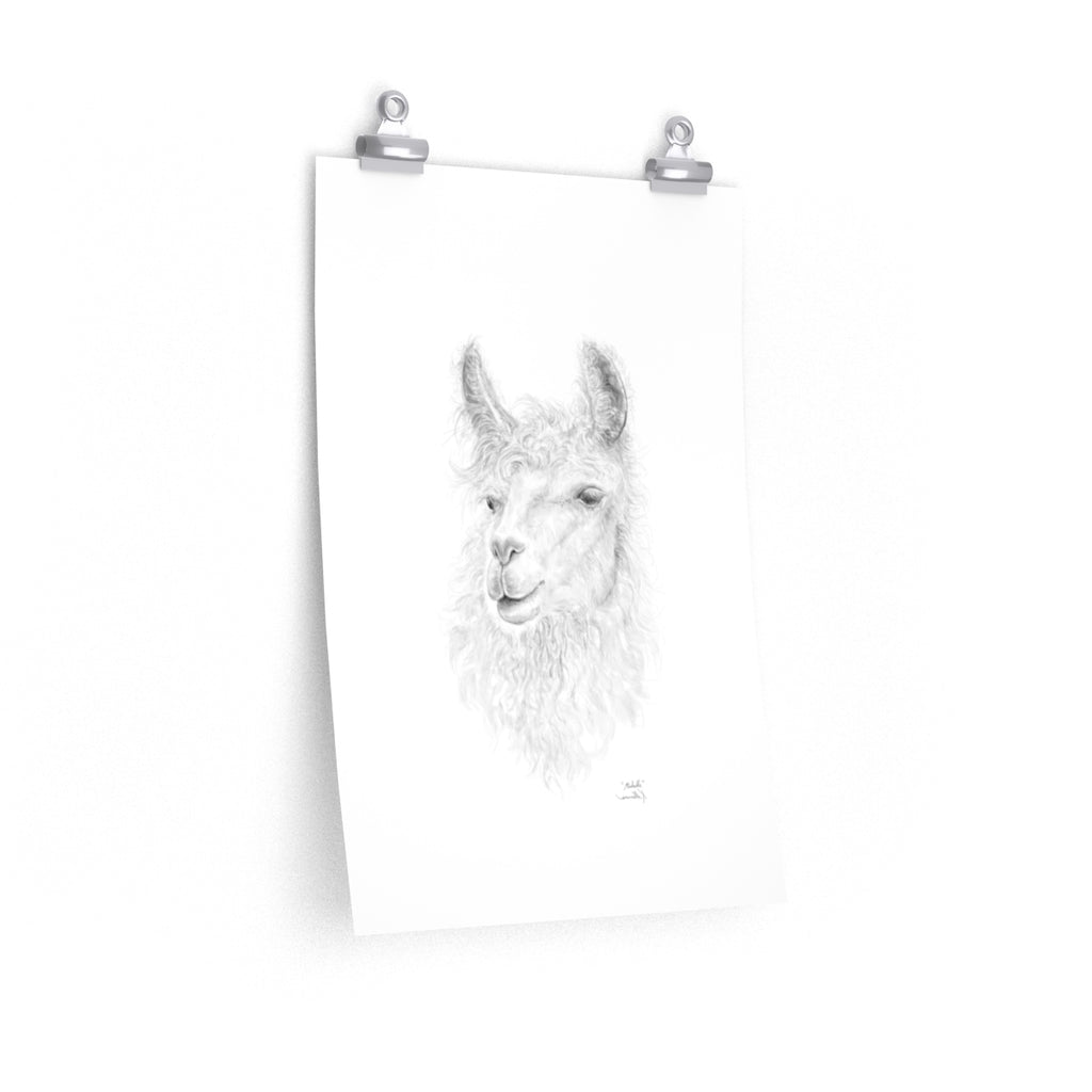 MICHELLE Llama- Art Paper Print