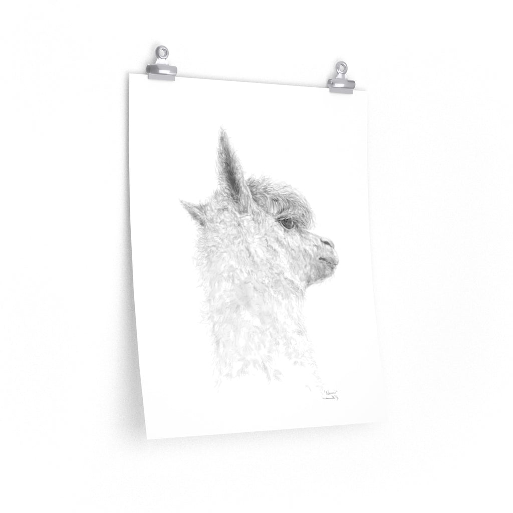 NAOMI Llama- Art Paper Print