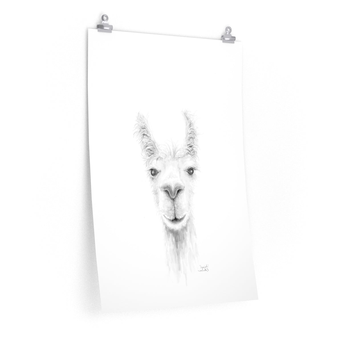 IZAIAH Llama- Art Paper Print