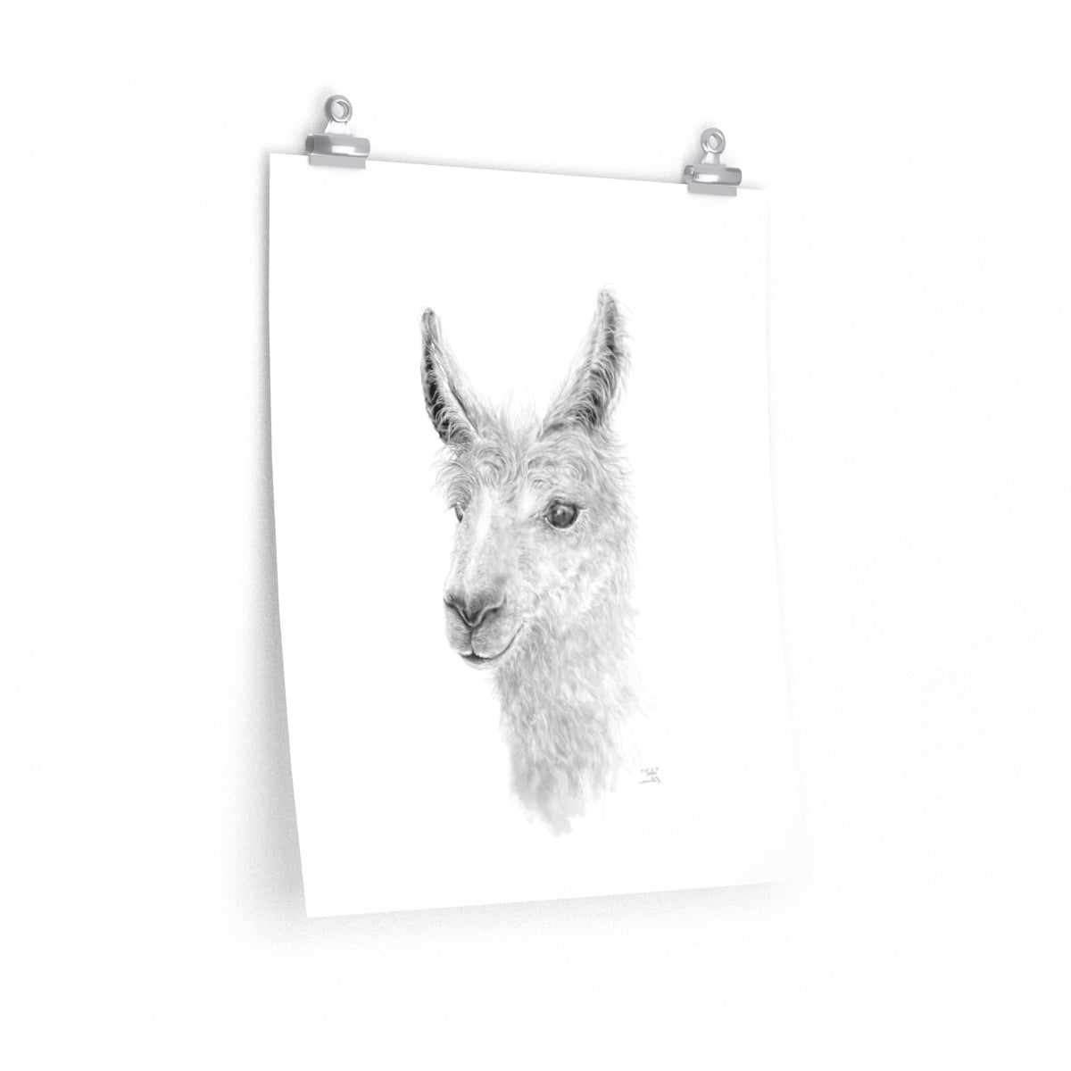 TEELE Llama- Art Paper Print