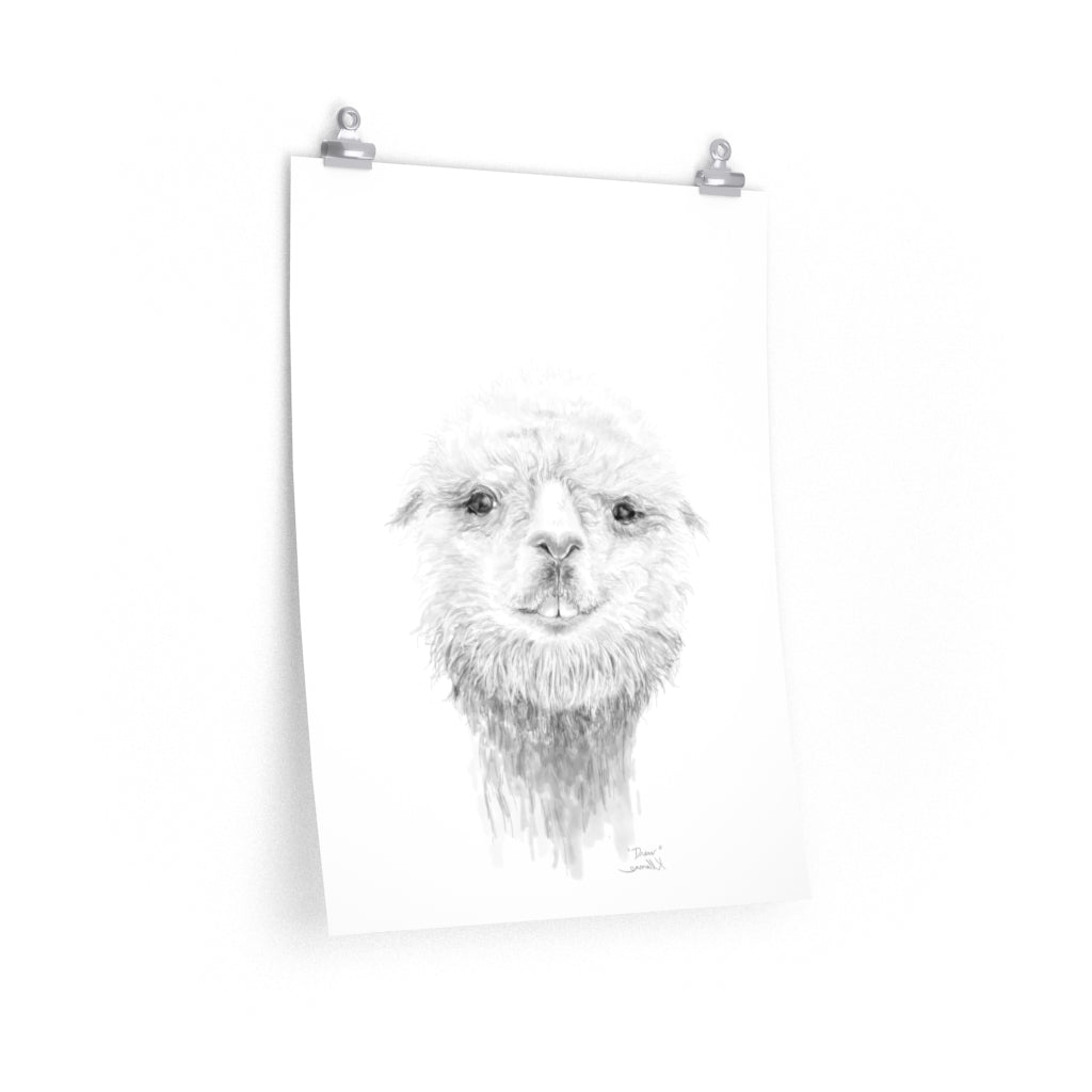 DREW Llama- Art Paper Print