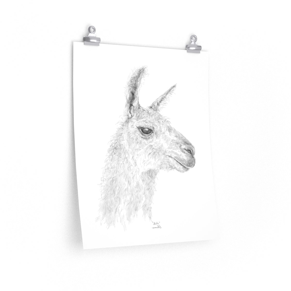 SHELIA Llama- Art Paper Print