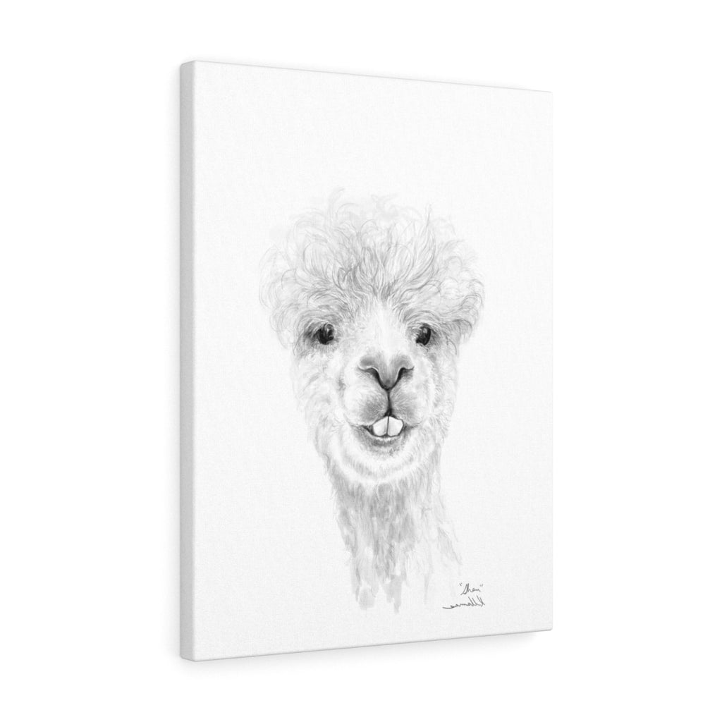 SHAN Llama - Art Canvas