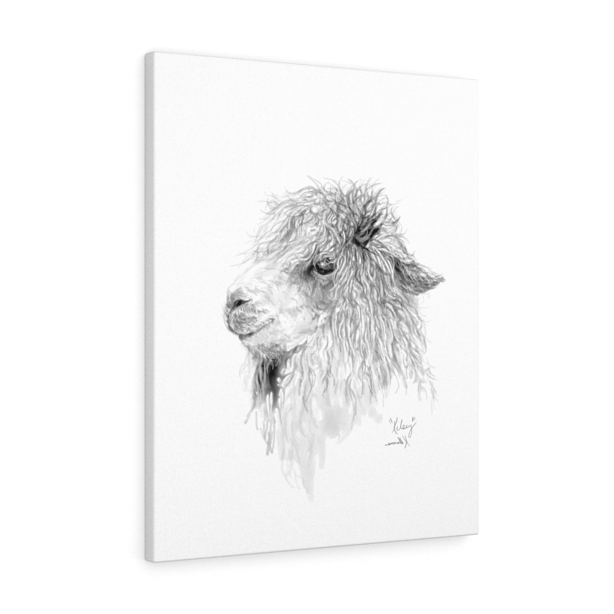 KELSEY Llama - Art Canvas