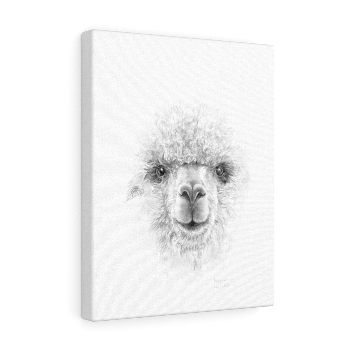 BENJAMIN Llama - Art Canvas