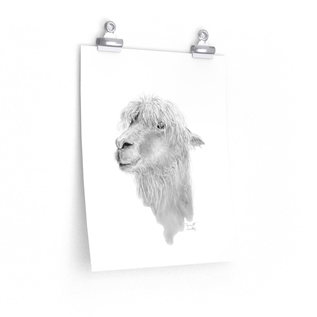JARRETT Llama- Art Paper Print