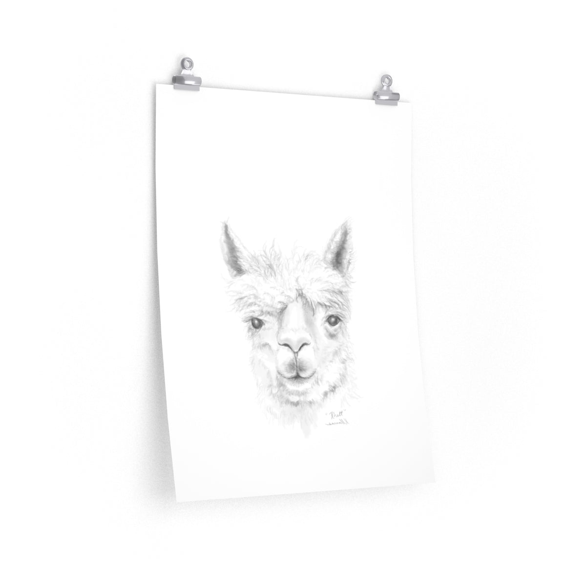 RHETT Llama- Art Paper Print