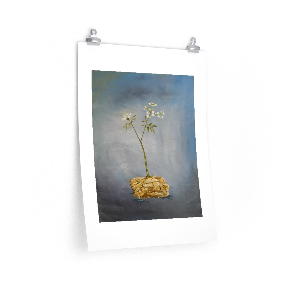 Socrates - K. Llamas Wall Art Print