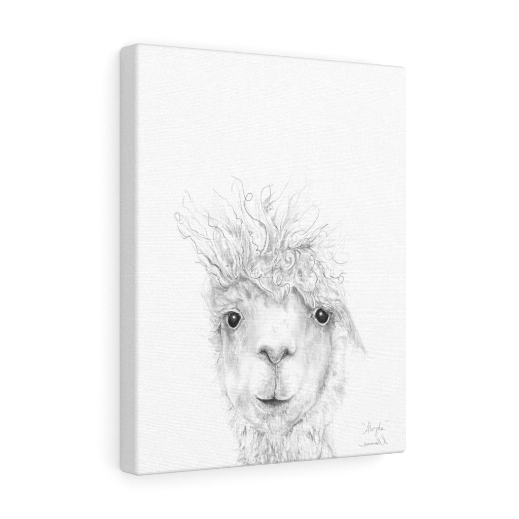 ALEYDA Llama - Art Canvas