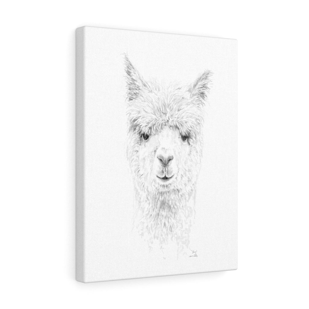 DOUG Llama - Art Canvas