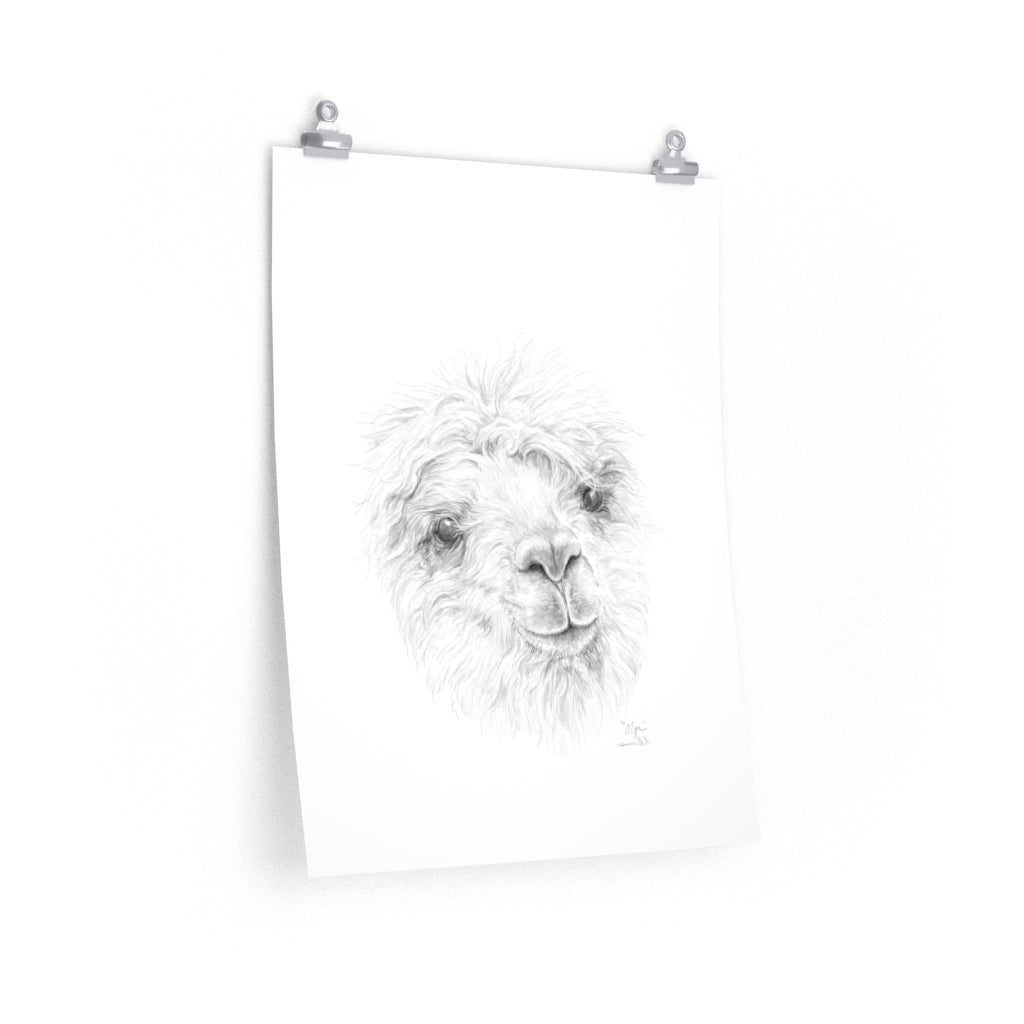 OLGA Llama- Art Paper Print