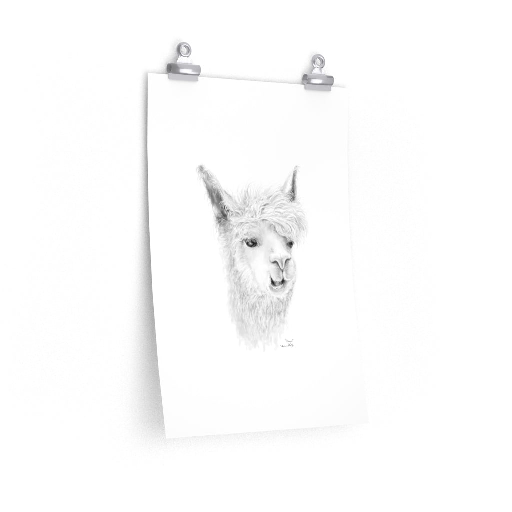 OMAR Llama- Art Paper Print
