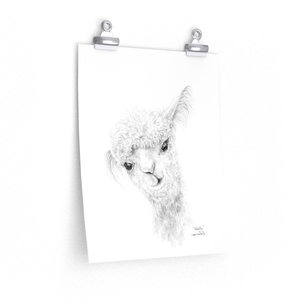 NATALIA Llama- Art Paper Print