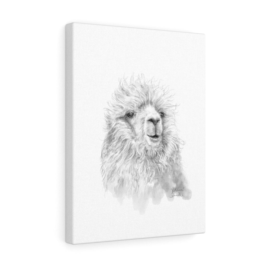 KATHLEEN Llama - Art Canvas