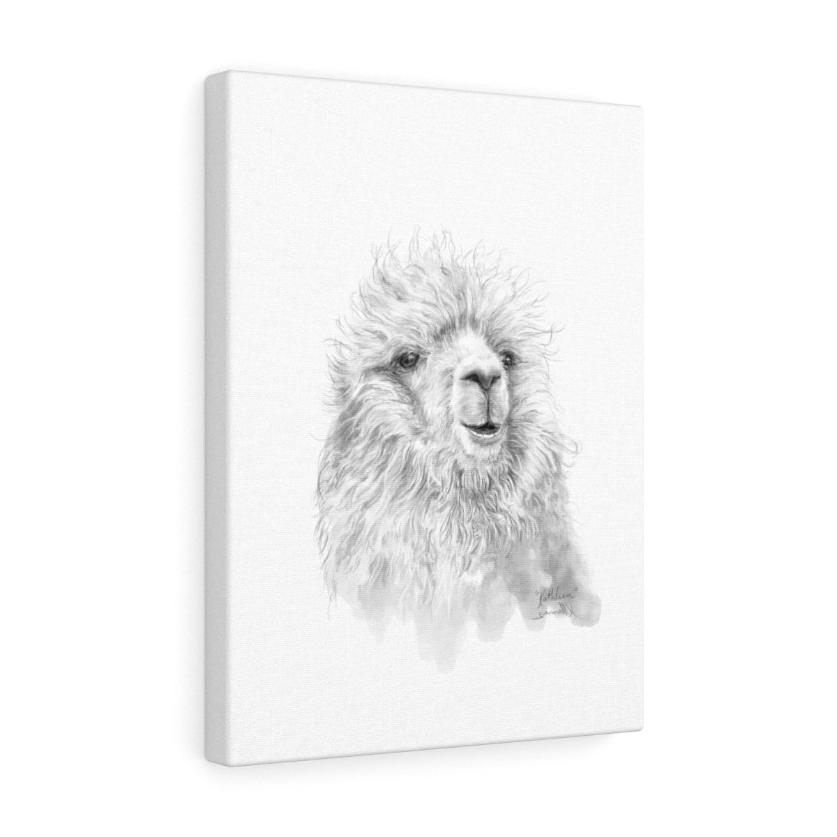 KATHLEEN Llama - Art Canvas