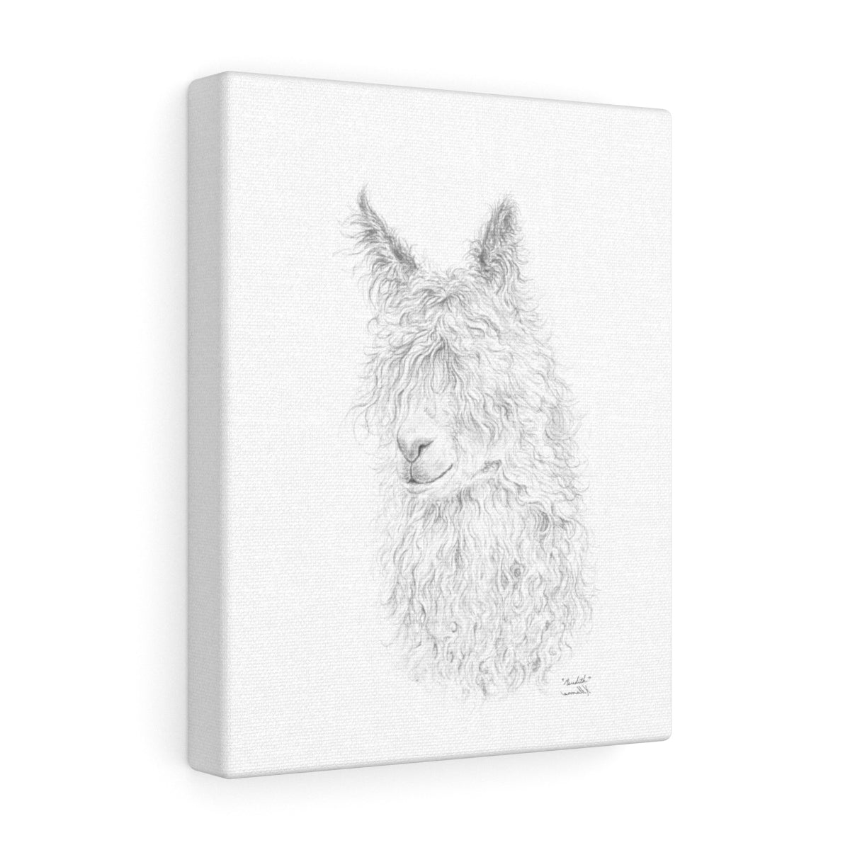 Meredith Llama - Art Canvas