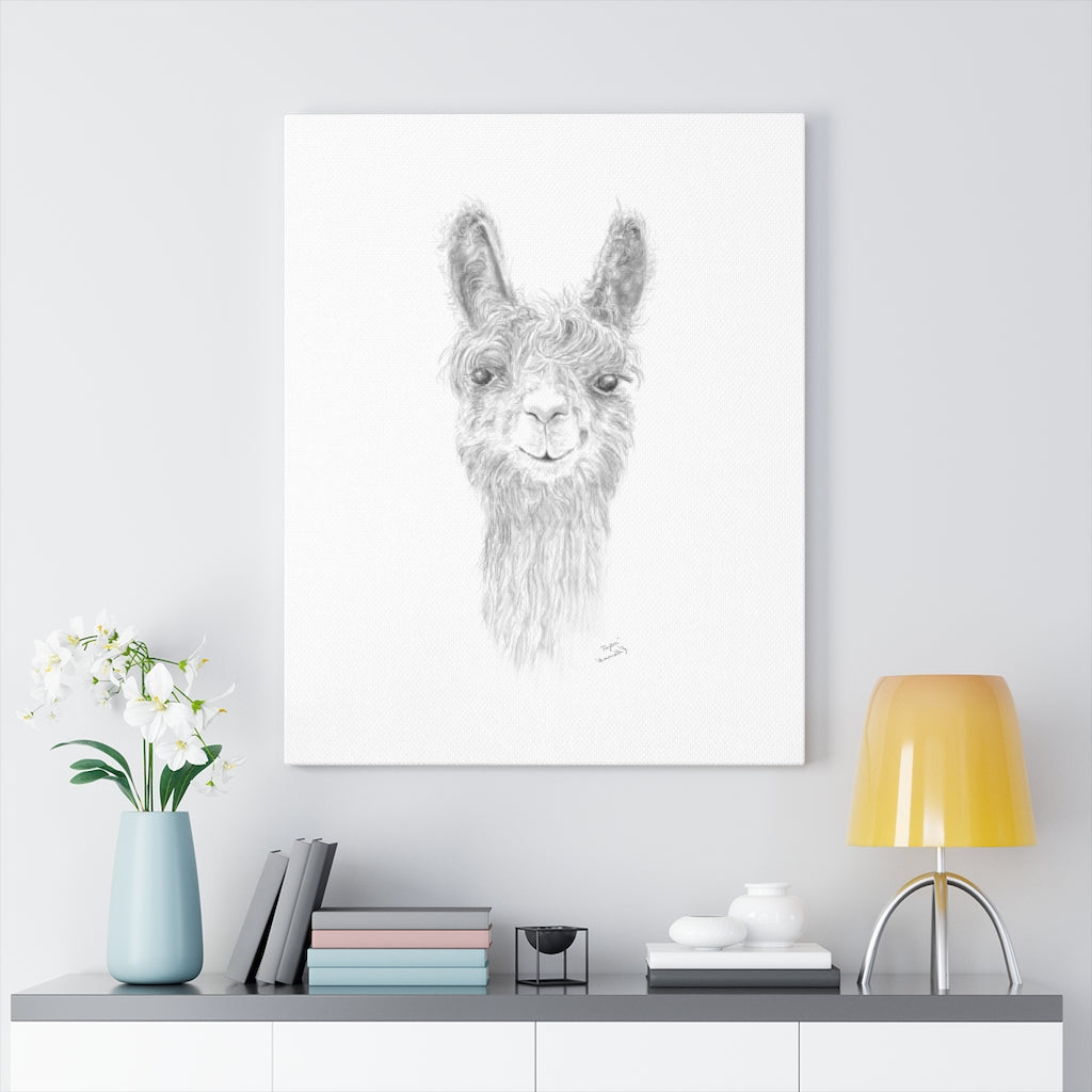 PAYTON Llama - Art Canvas
