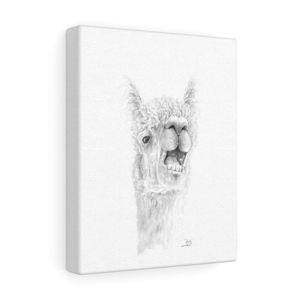 LANTY Llama - Art Canvas