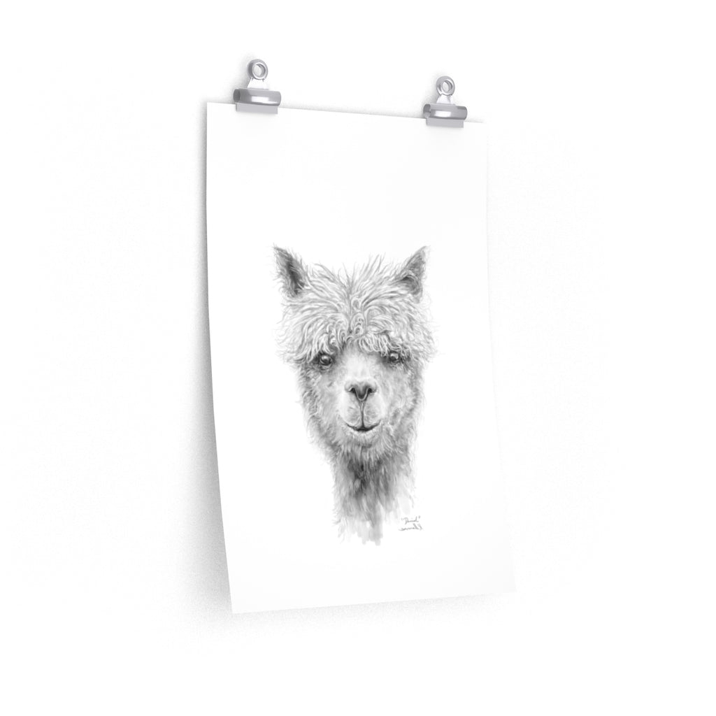 DANIEL Llama- Art Paper Print