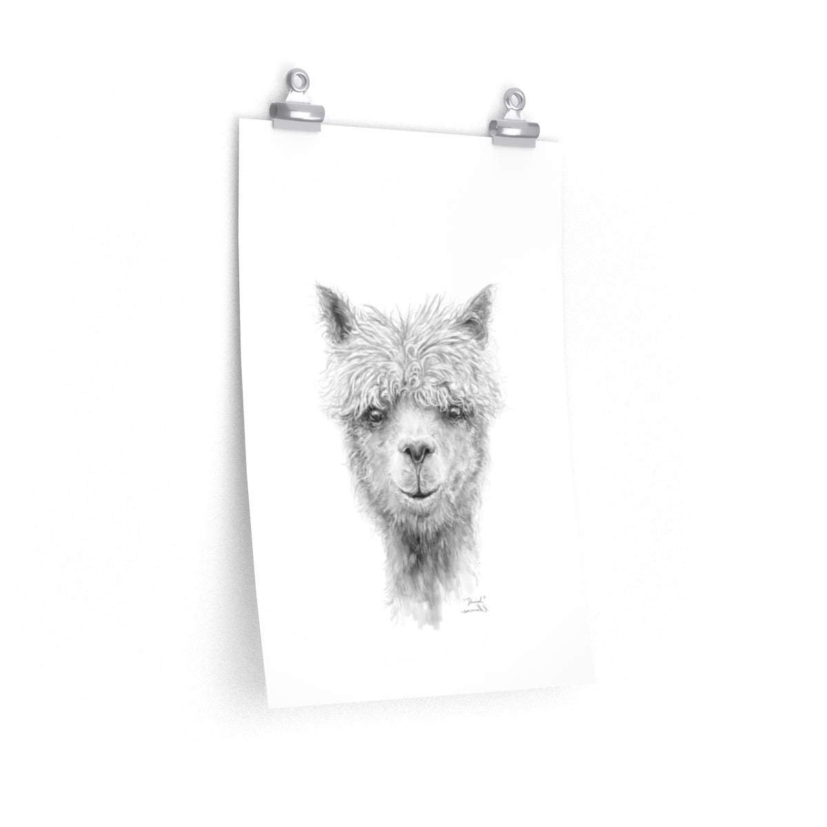 DANIEL Llama- Art Paper Print