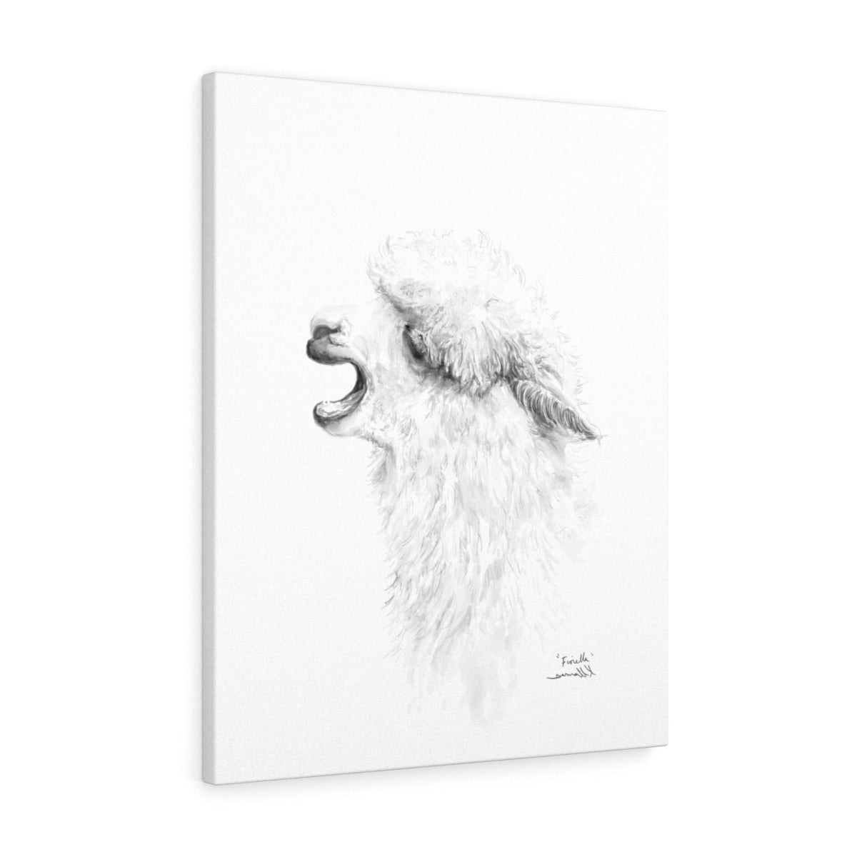 FIORELLA Llama - Art Canvas