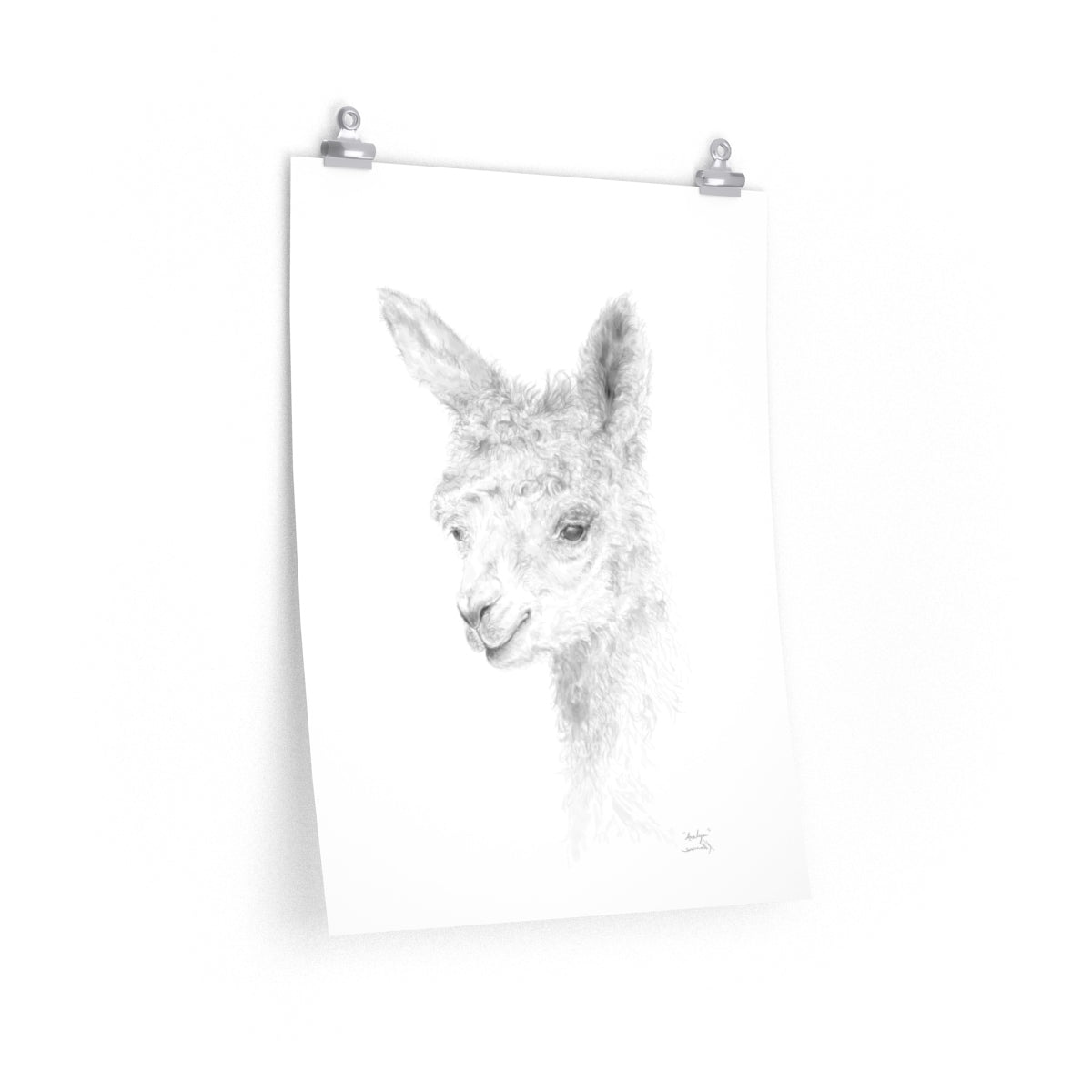 ANALYN Llama- Art Paper Print