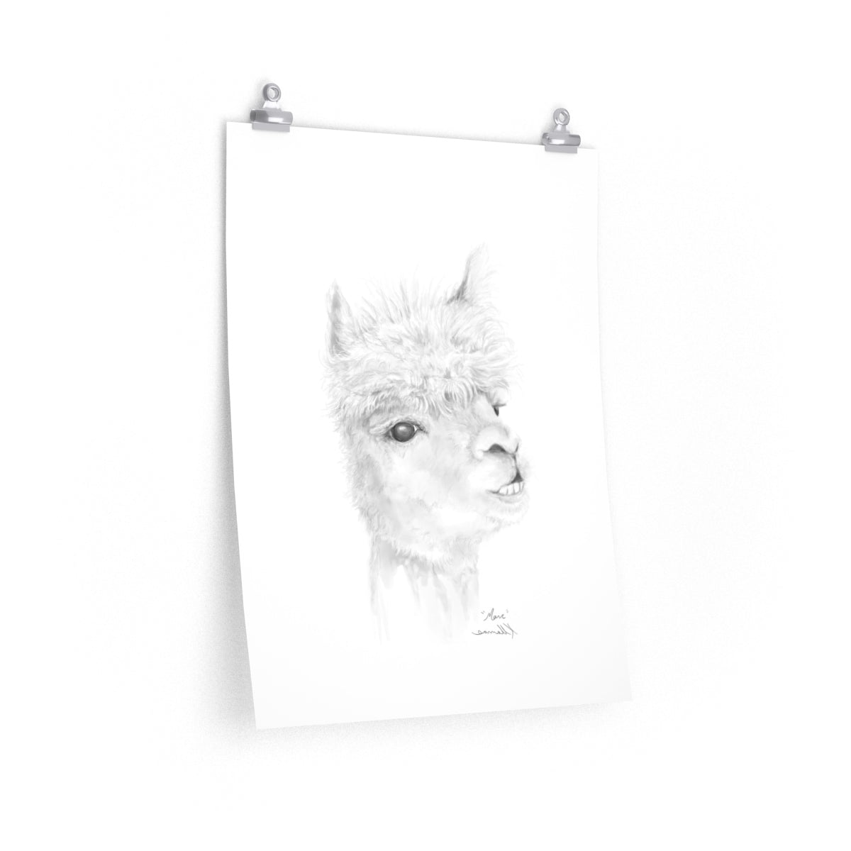 MARC Llama- Art Paper Print