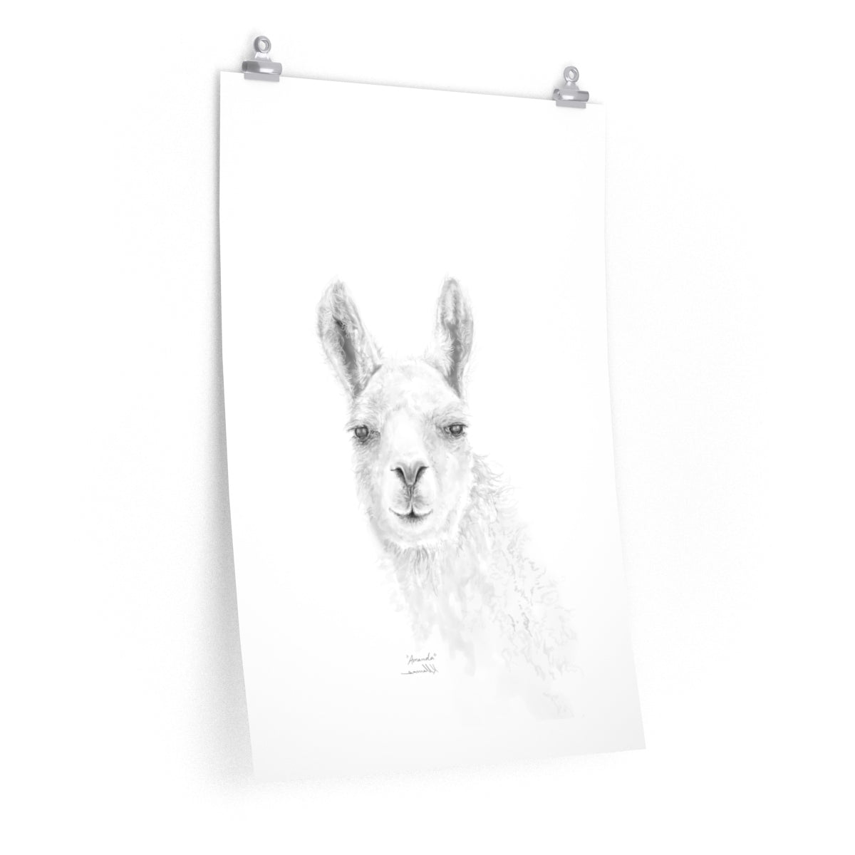 AMANDA Llama- Art Paper Print