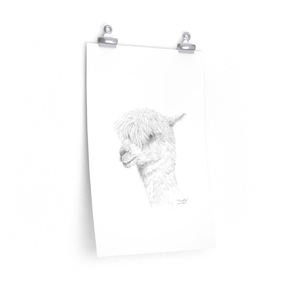 TIMOTHY Llama- Art Paper Print