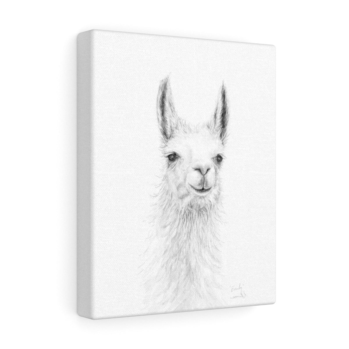 EMILY Llama - Art Canvas