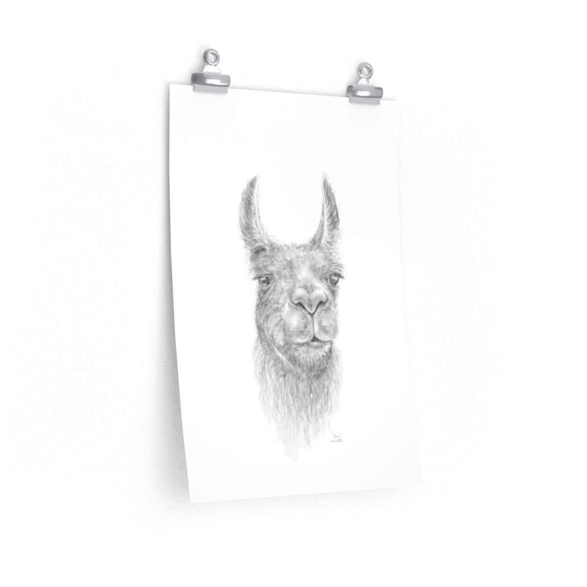 EVAN Llama- Art Paper Print