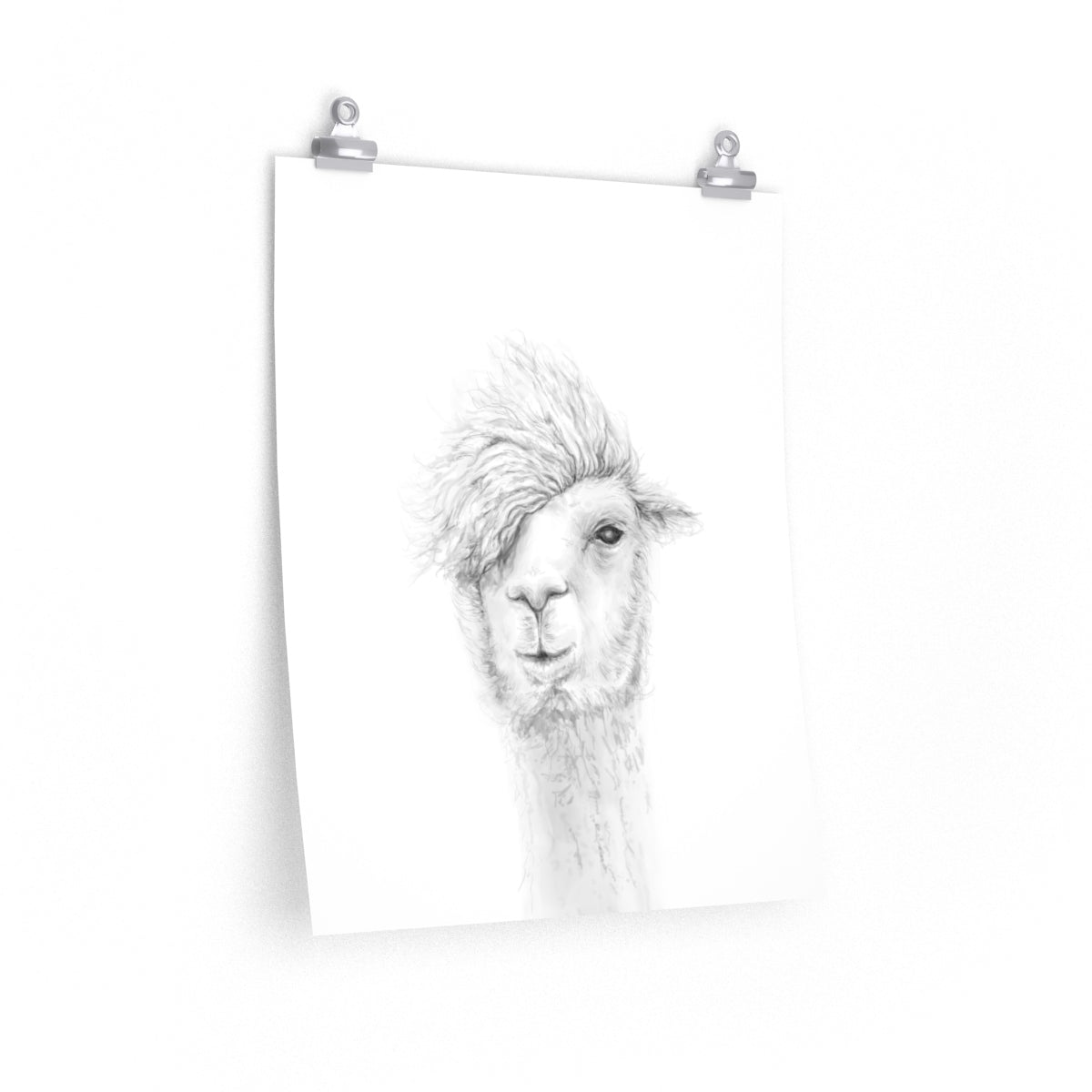 KEN Llama- Art Paper Print