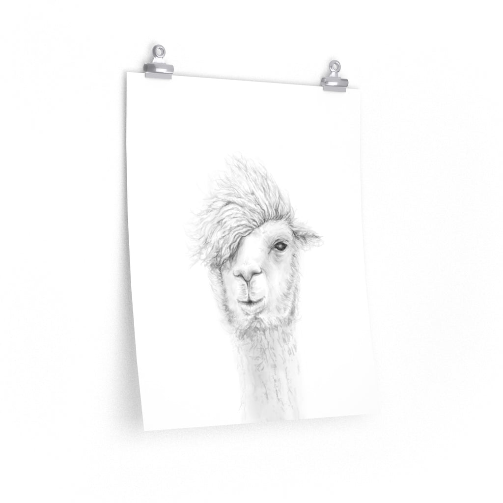 KEN Llama- Art Paper Print