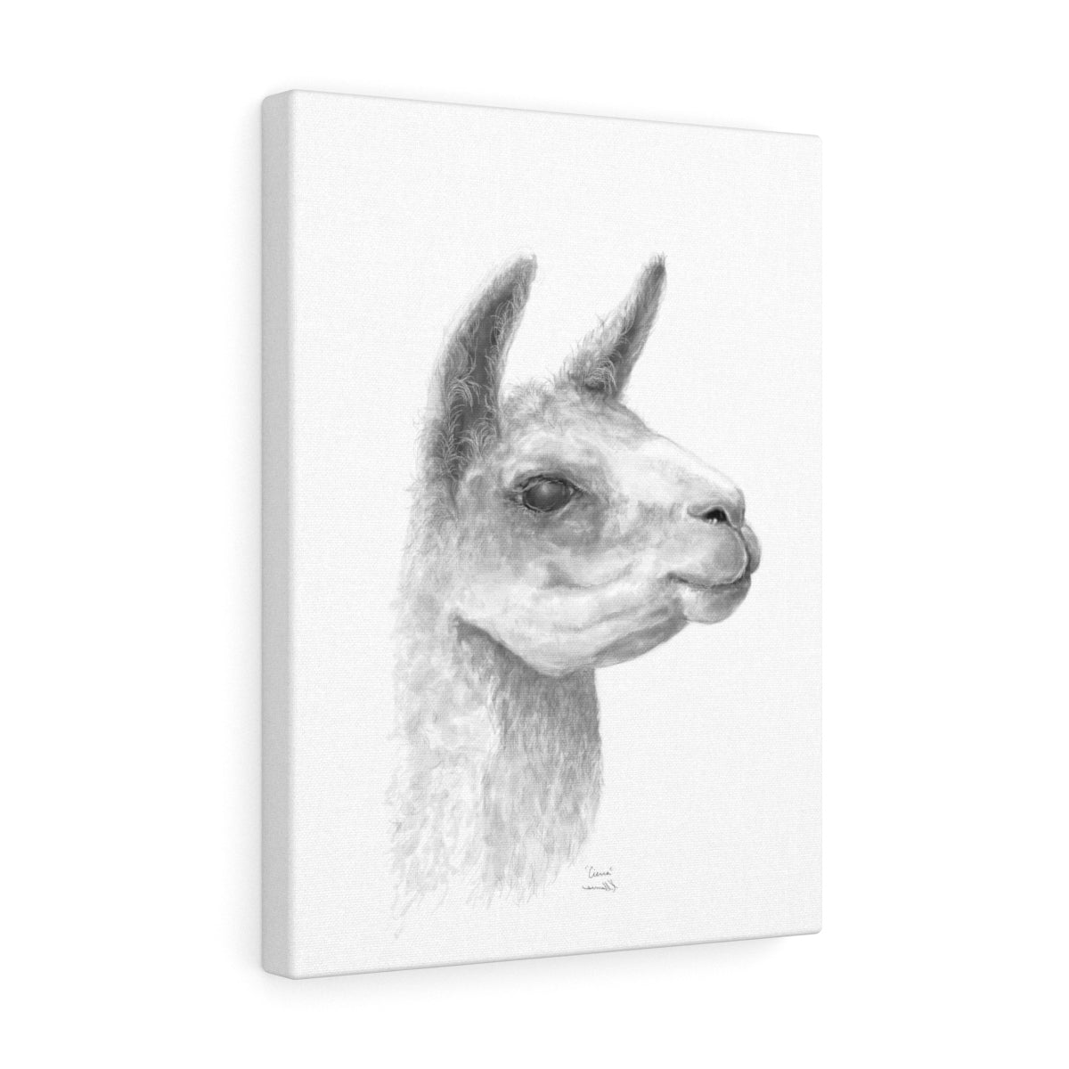 CIERRA Llama - Art Canvas