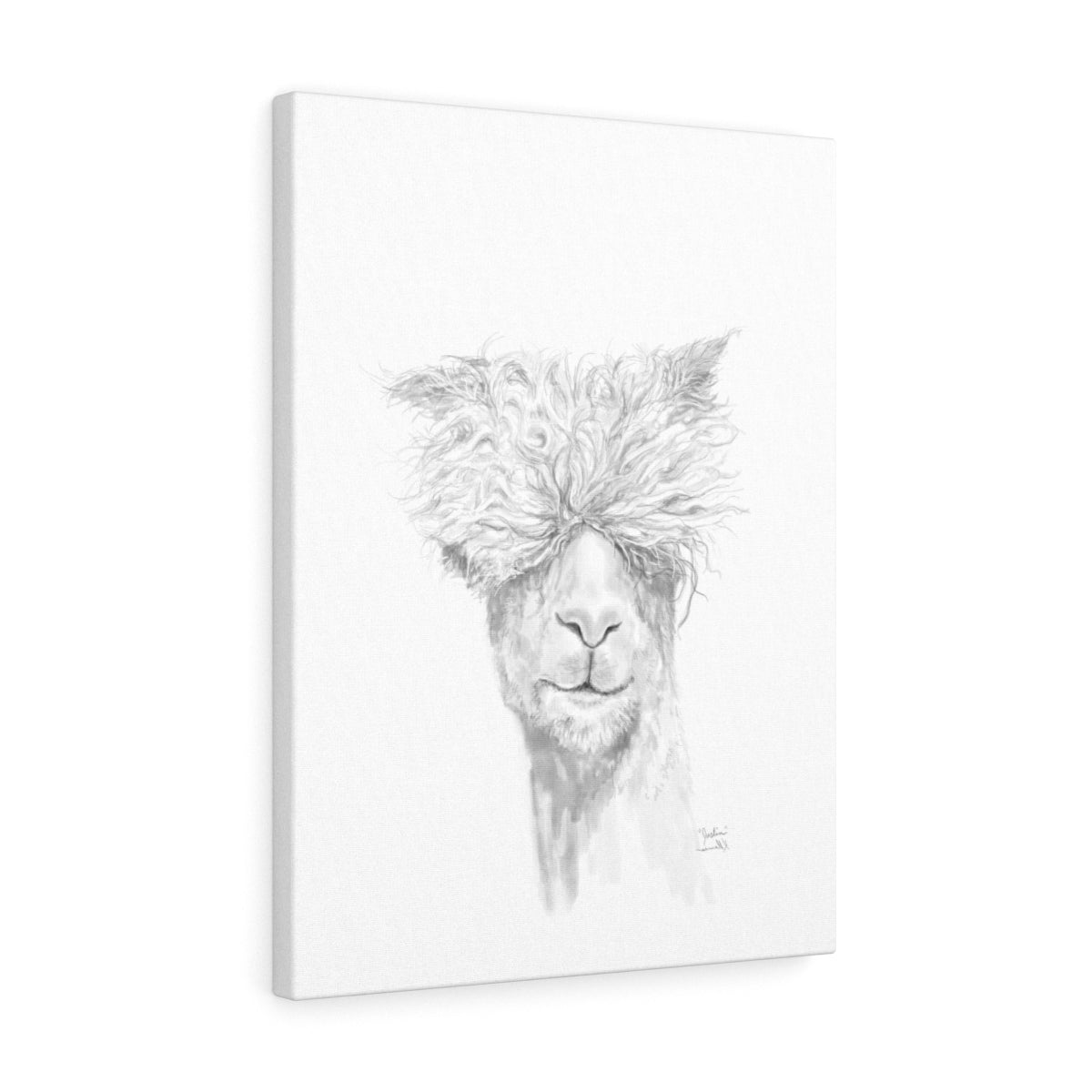 JUSTIN Llama - Art Canvas