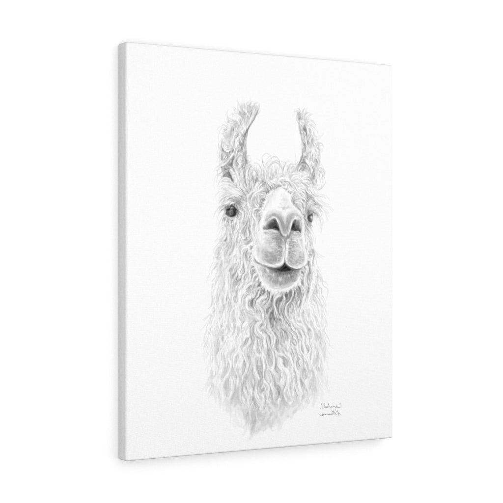 SABRINA Llama - Art Canvas