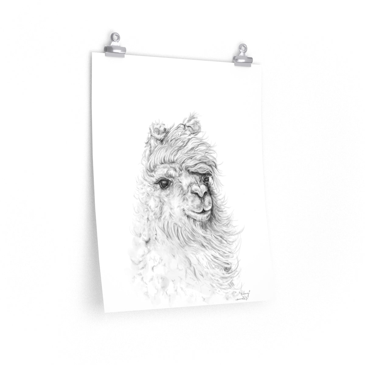 HILARY Llama- Art Paper Print