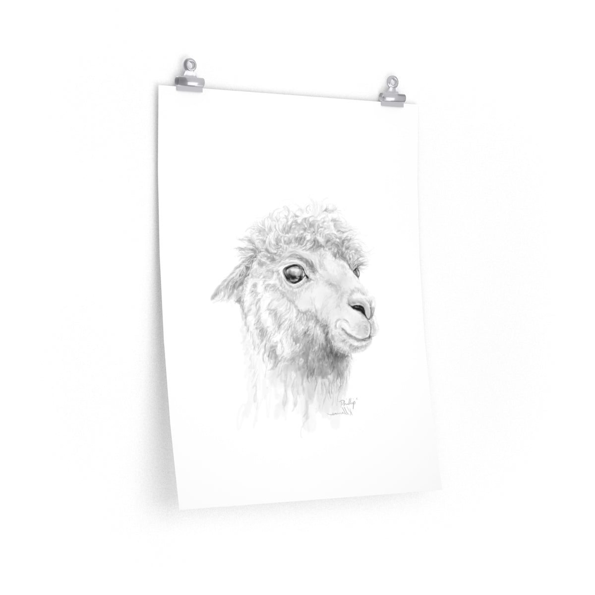 PHILLIP Llama- Art Paper Print