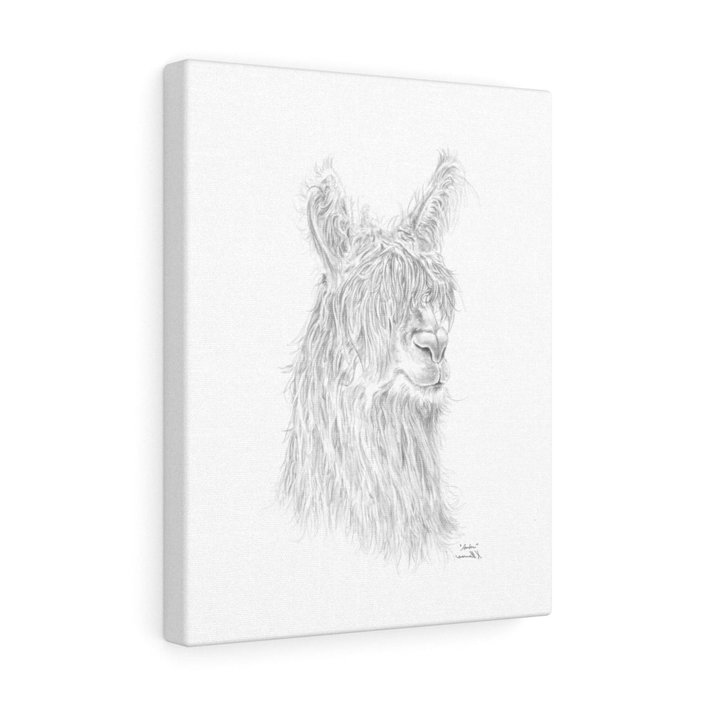 AMBER Llama - Art Canvas