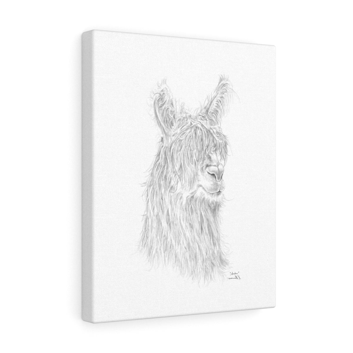AMBER Llama - Art Canvas