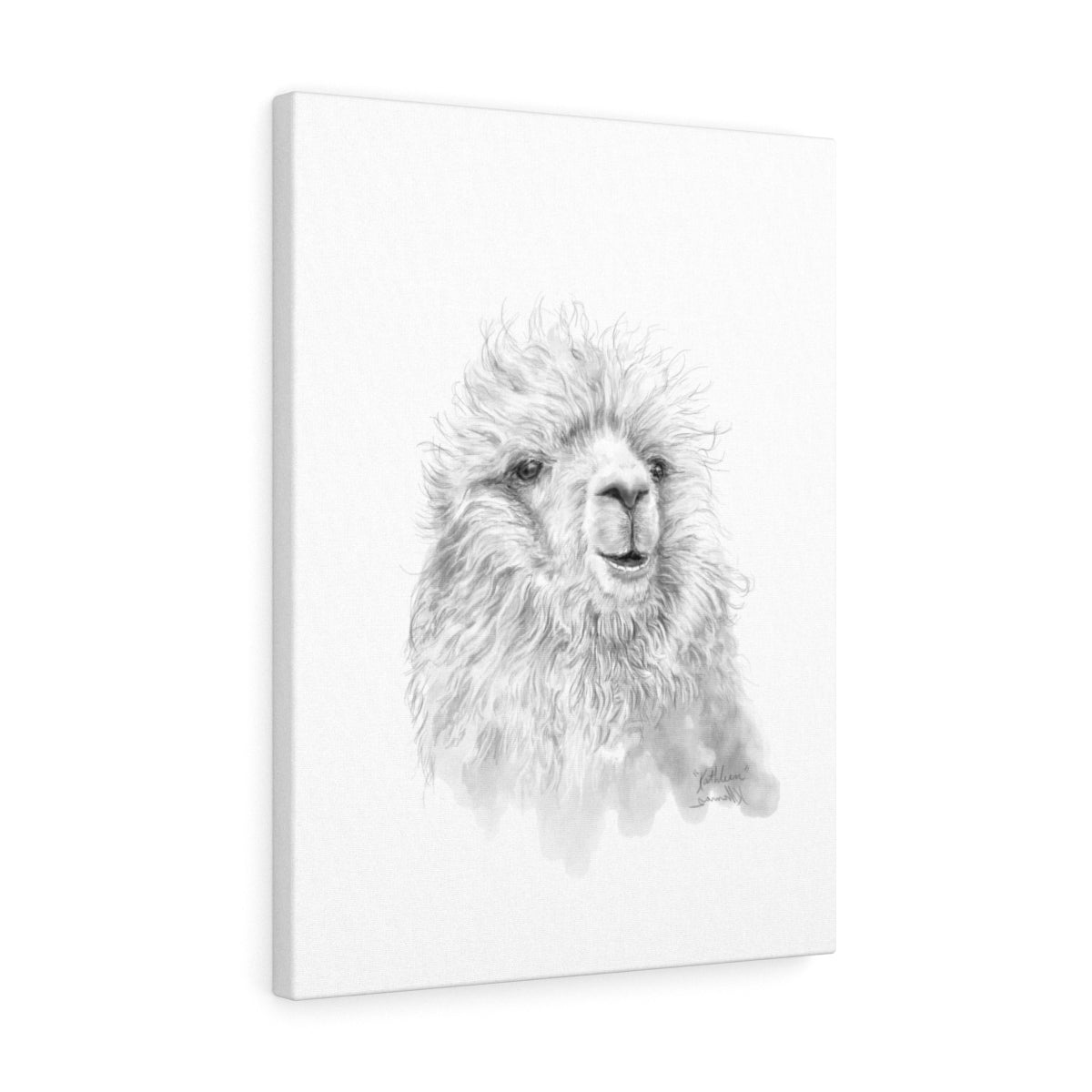 KATHLEEN Llama - Art Canvas