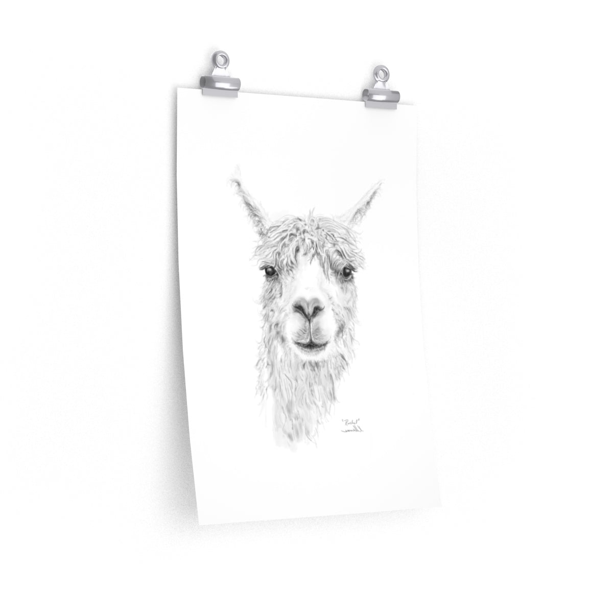 RACHEL Llama- Art Paper Print