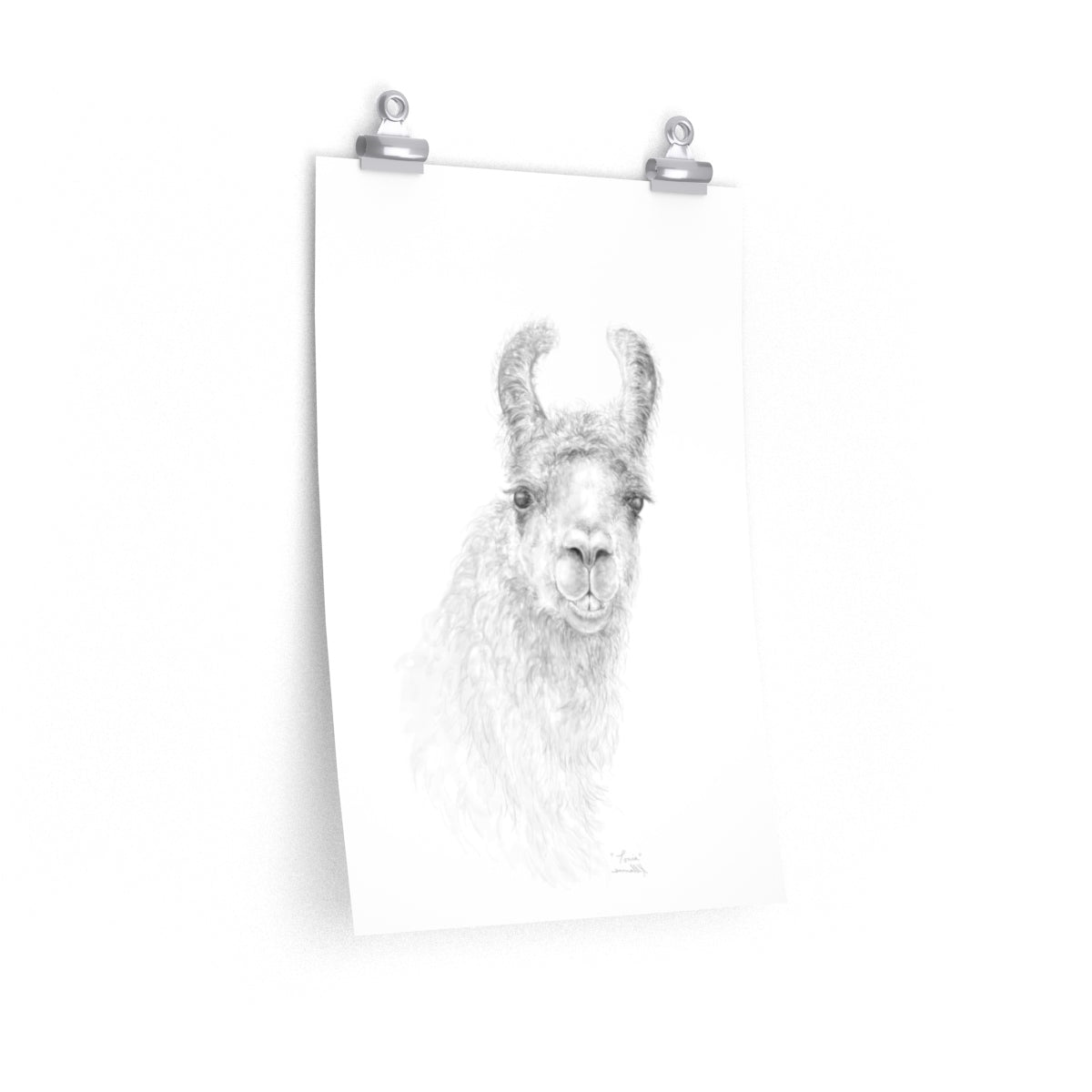 TONIA Llama- Art Paper Print