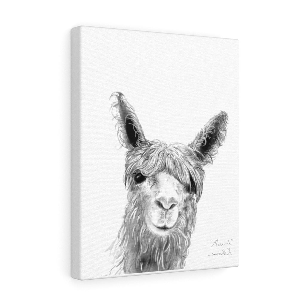 MIRANDA Llama - Art Canvas